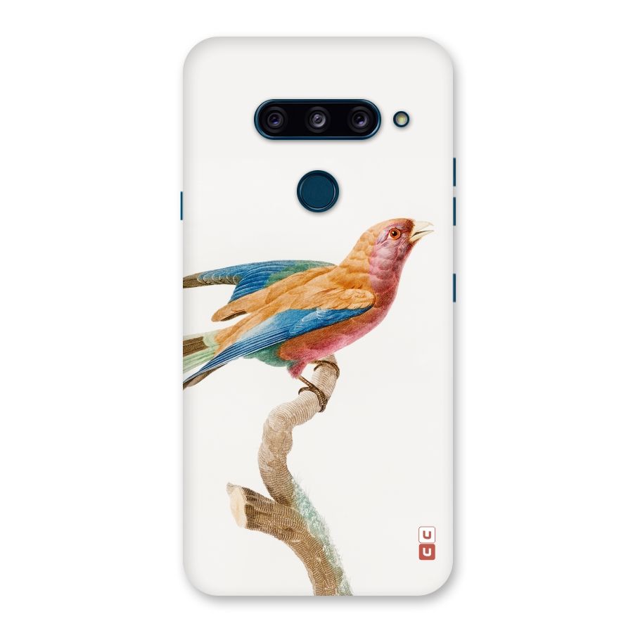 Beautiful Bird Back Case for LG  V40 ThinQ