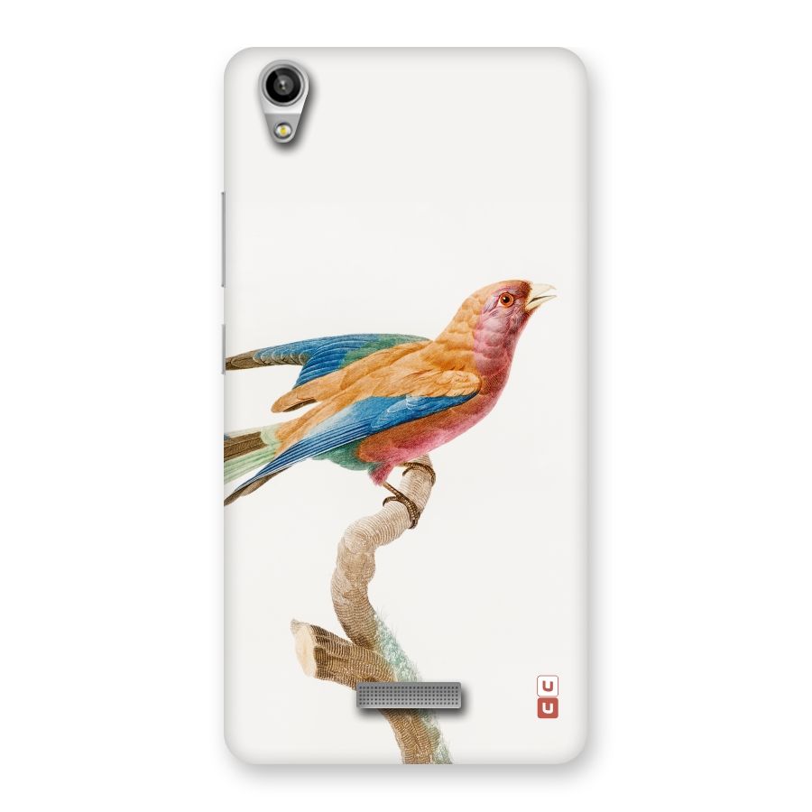 Beautiful Bird Back Case for Lava-Pixel-V1