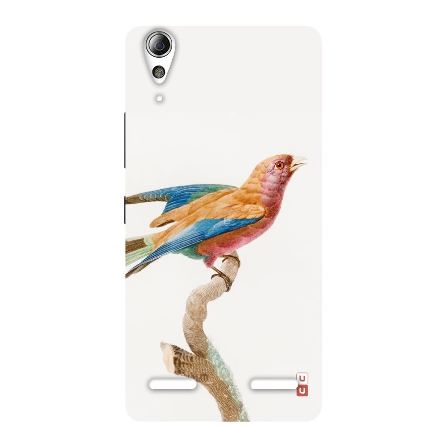 Beautiful Bird Back Case for Lenovo A6000