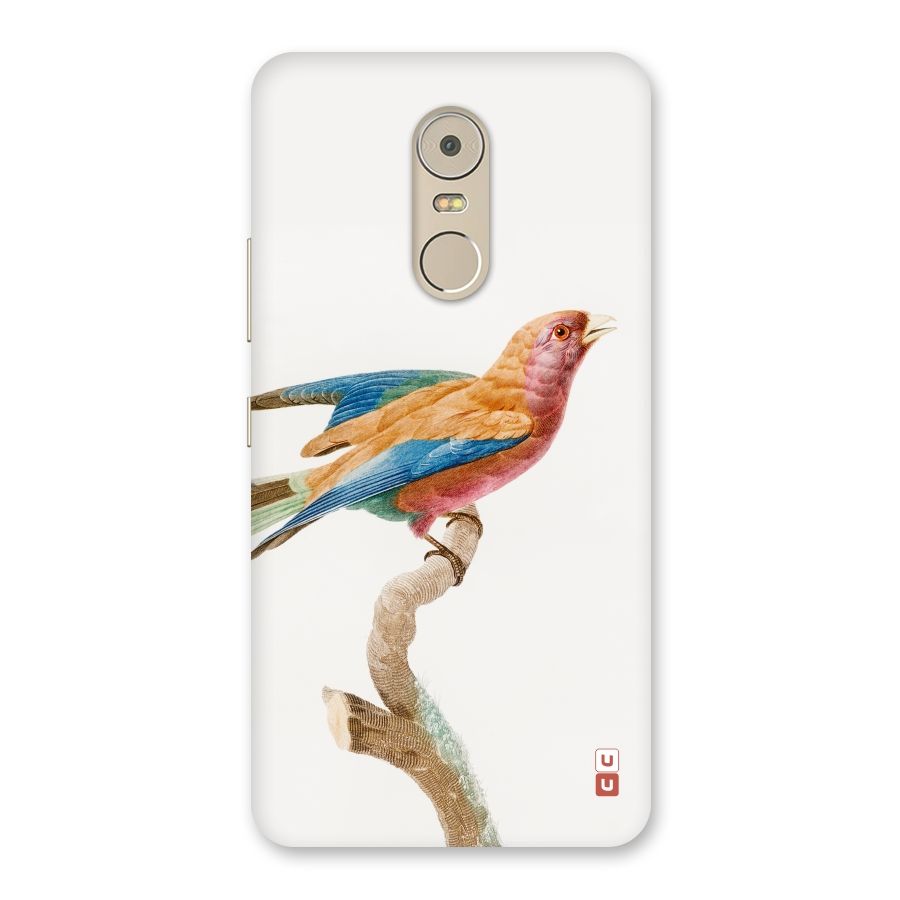 Beautiful Bird Back Case for Lenovo K6 Note