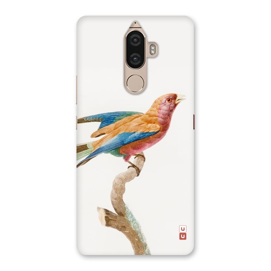Beautiful Bird Back Case for Lenovo K8 Note