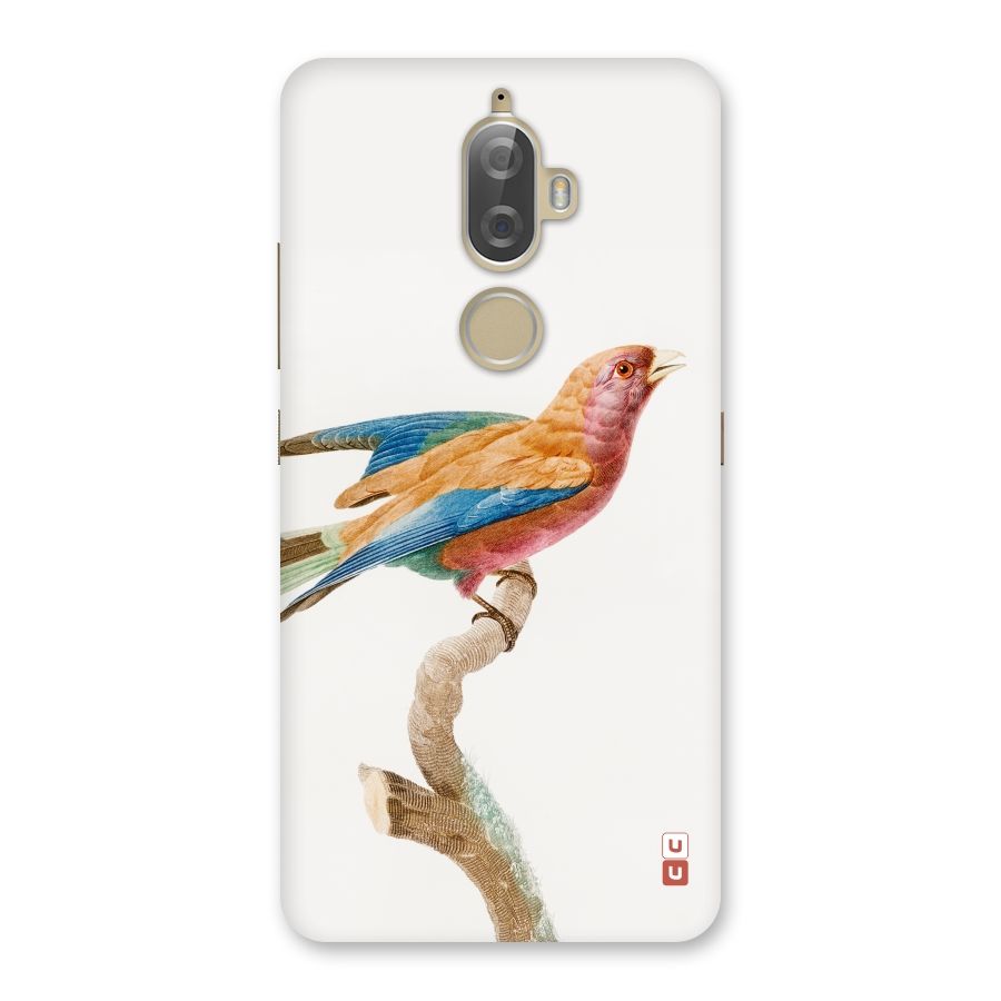 Beautiful Bird Back Case for Lenovo K8 Plus