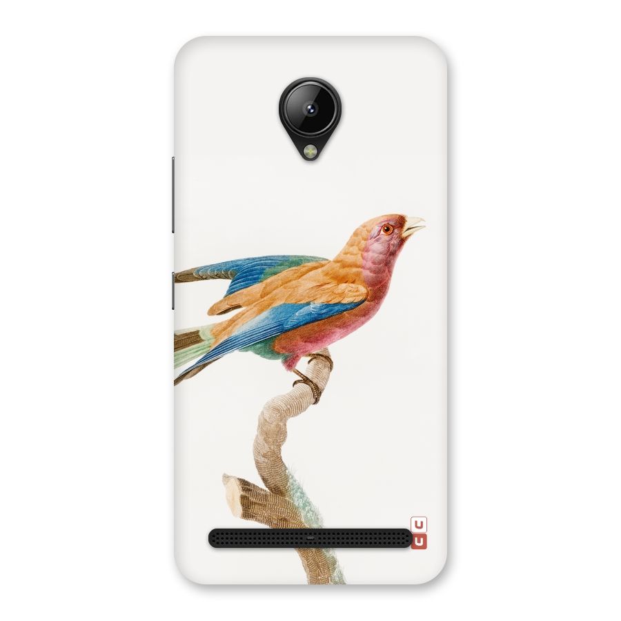 Beautiful Bird Back Case for Lenovo C2