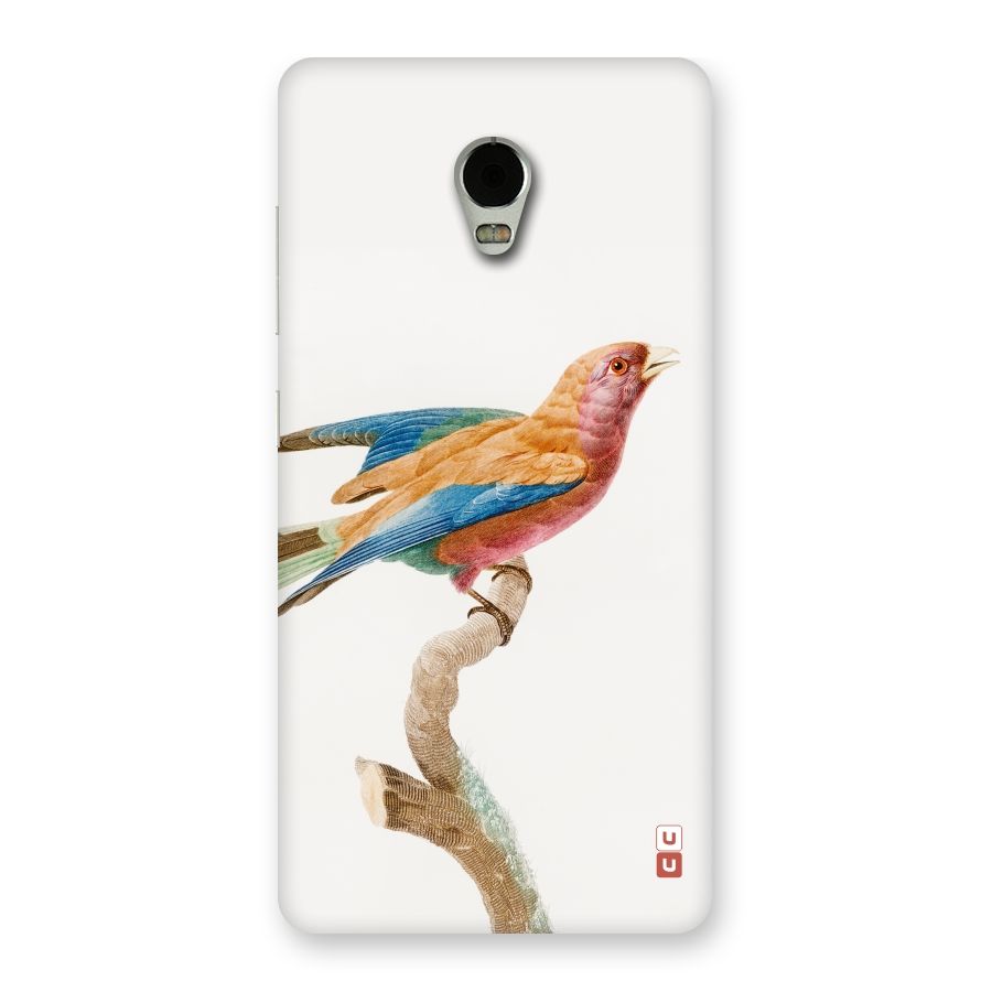 Beautiful Bird Back Case for Lenovo Vibe P1