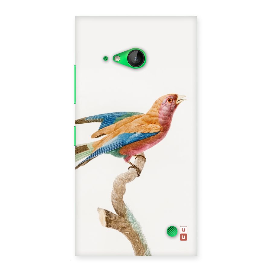 Beautiful Bird Back Case for Lumia 730