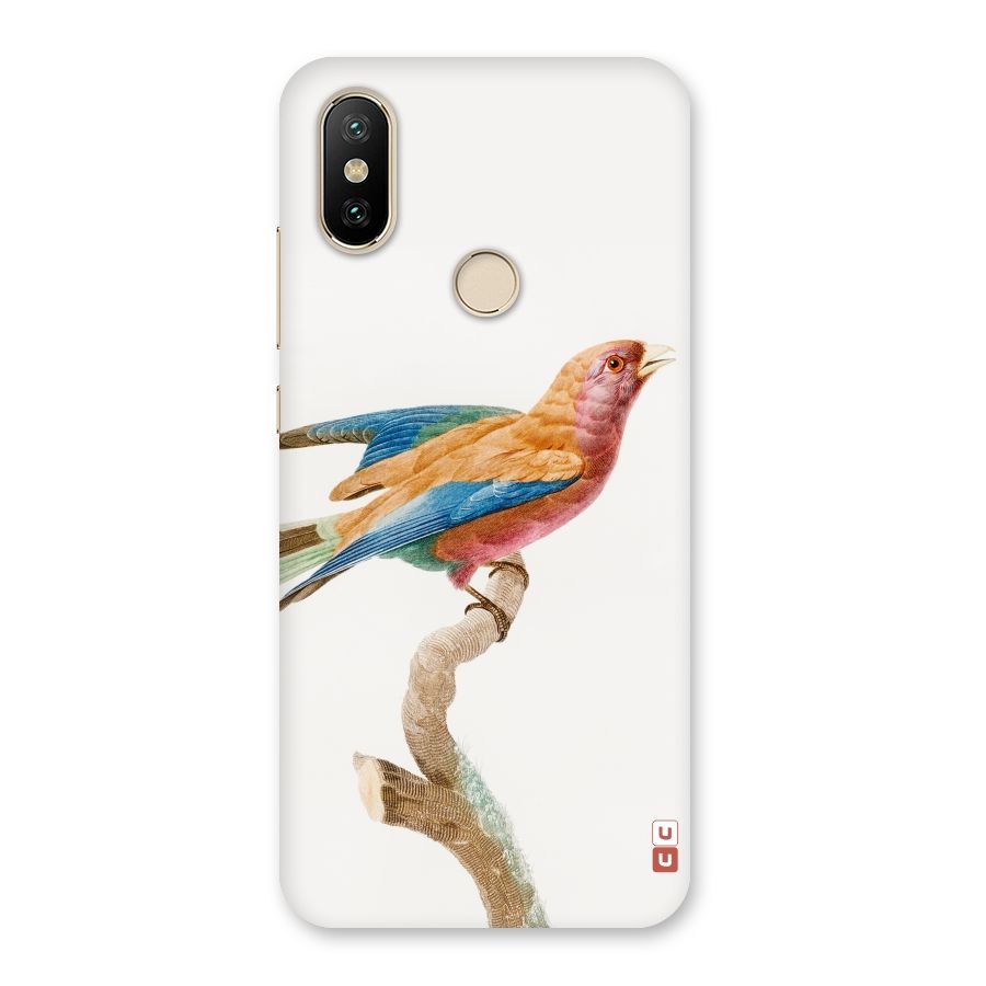 Beautiful Bird Back Case for Mi A2