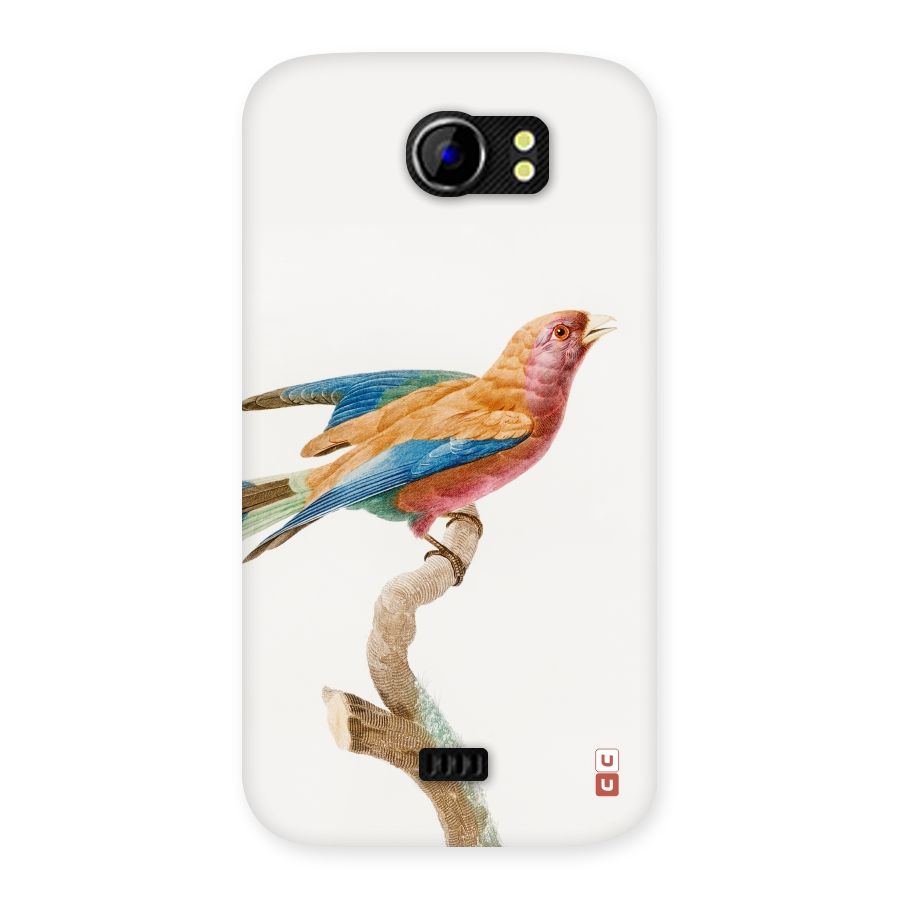 Beautiful Bird Back Case for Micromax Canvas 2 A110