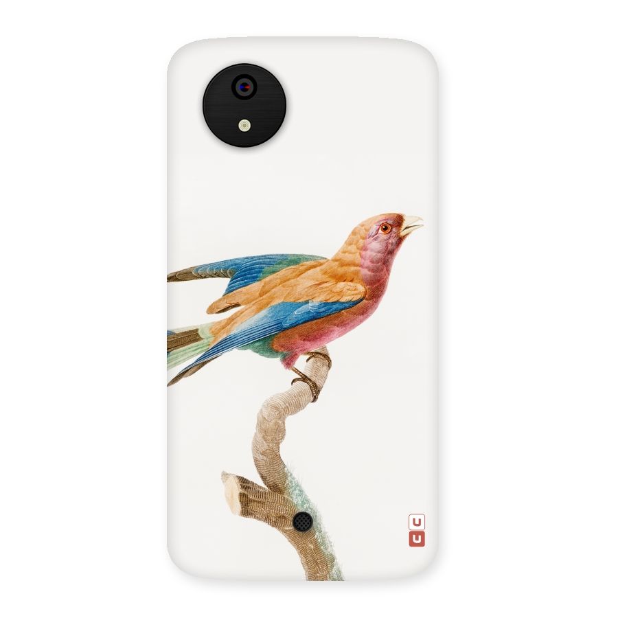 Beautiful Bird Back Case for Micromax Canvas A1