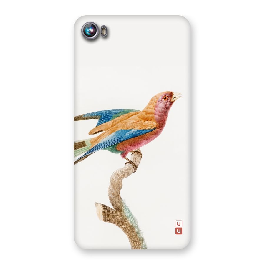 Beautiful Bird Back Case for Micromax Canvas Fire 4 A107