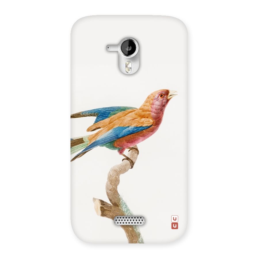 Beautiful Bird Back Case for Micromax Canvas HD A116
