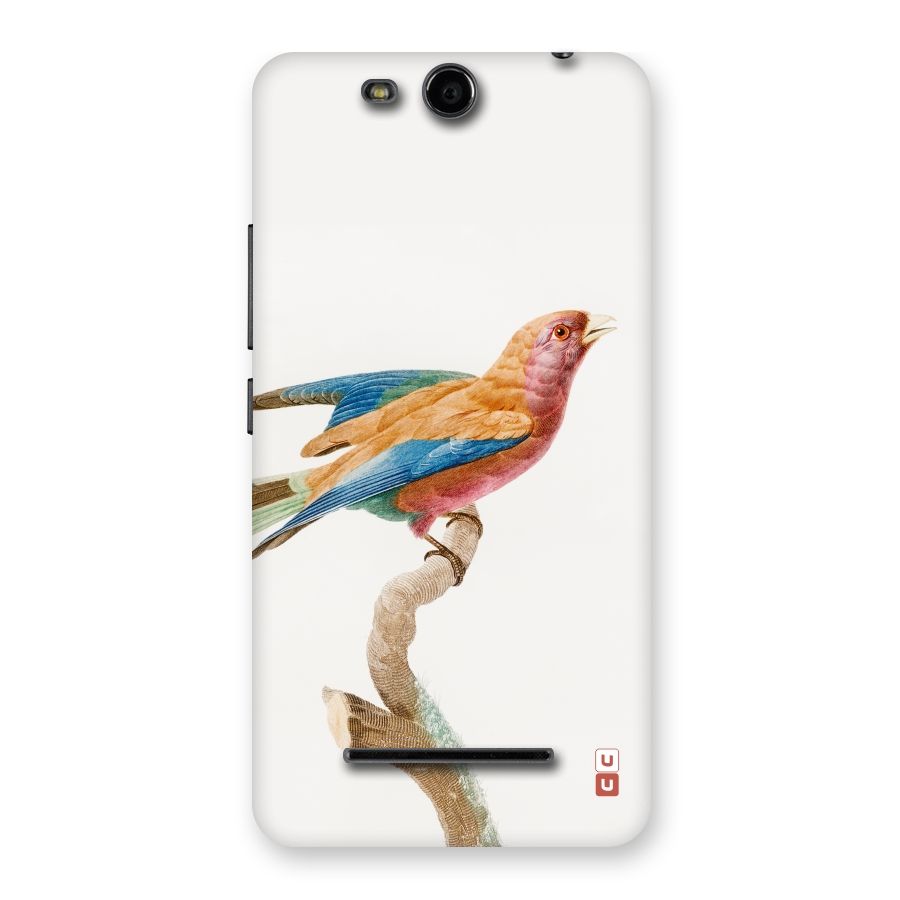 Beautiful Bird Back Case for Micromax Canvas Juice 3 Q392
