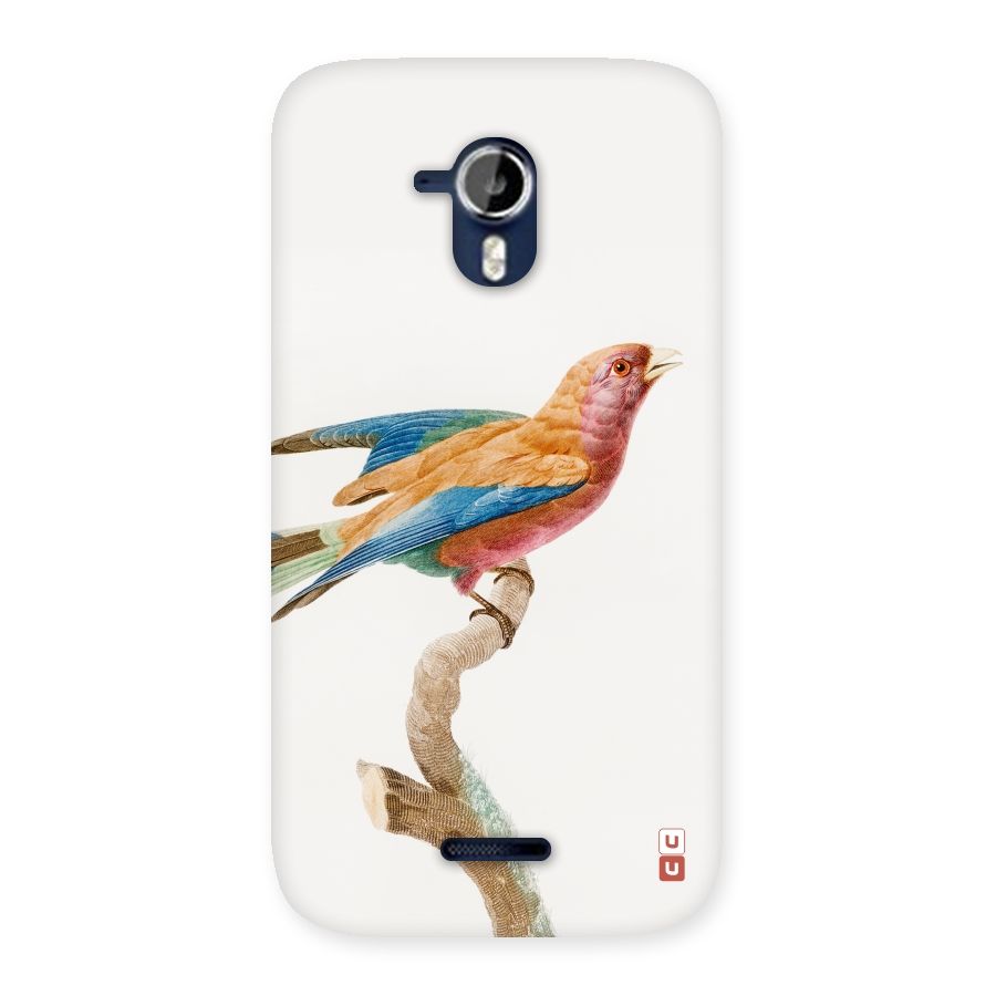 Beautiful Bird Back Case for Micromax Canvas Magnus A117