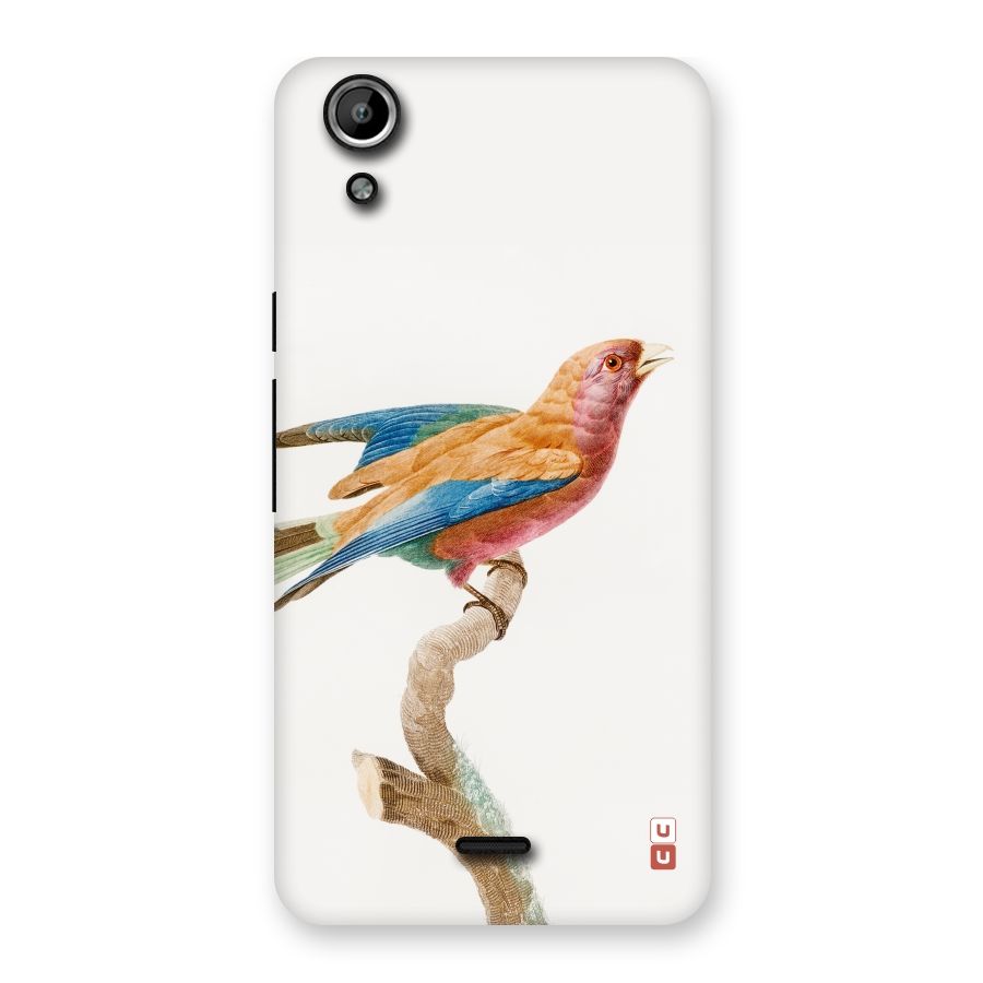 Beautiful Bird Back Case for Micromax Canvas Selfie Lens Q345