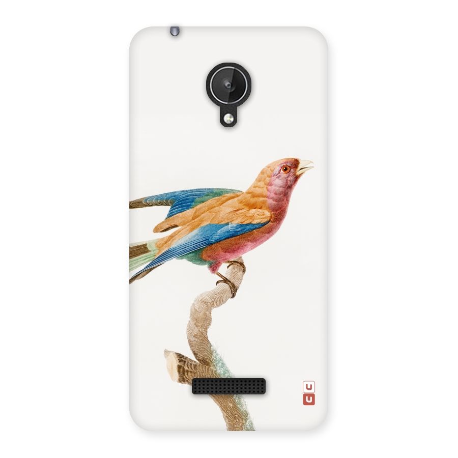 Beautiful Bird Back Case for Micromax Canvas Spark Q380