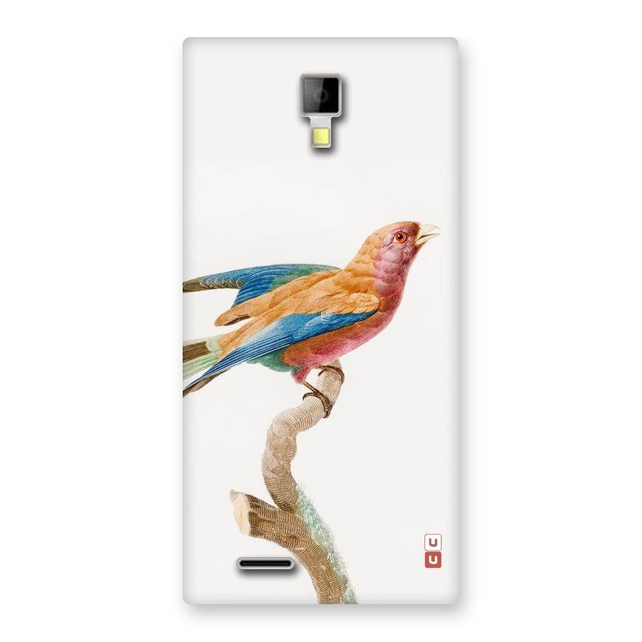 Beautiful Bird Back Case for Micromax Canvas Xpress A99