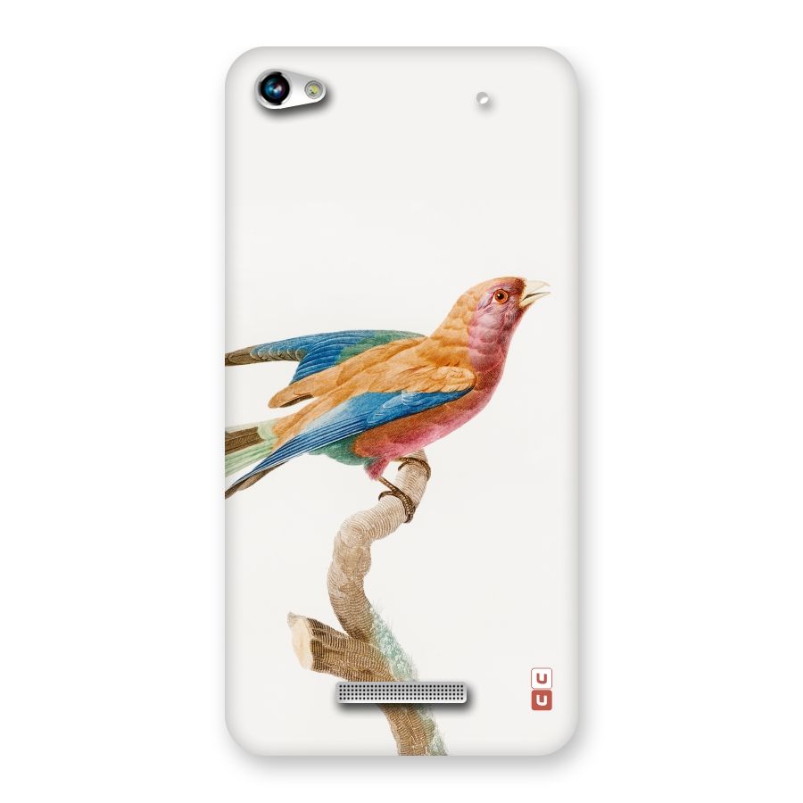 Beautiful Bird Back Case for Micromax Hue 2