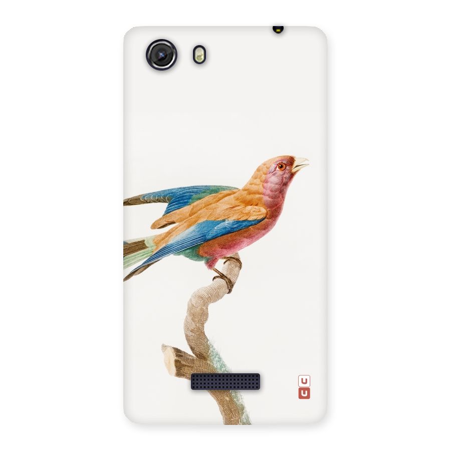 Beautiful Bird Back Case for Micromax Unite 3