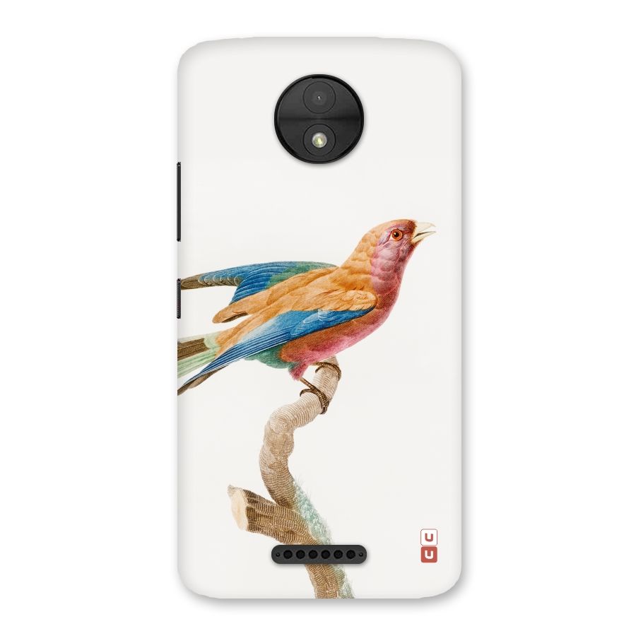 Beautiful Bird Back Case for Moto C