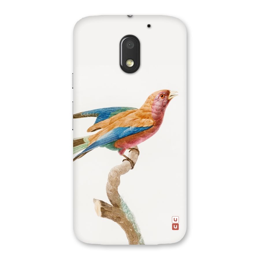 Beautiful Bird Back Case for Moto E3 Power