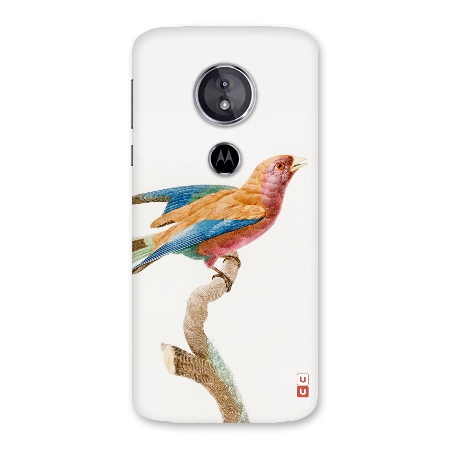 Beautiful Bird Back Case for Moto E5