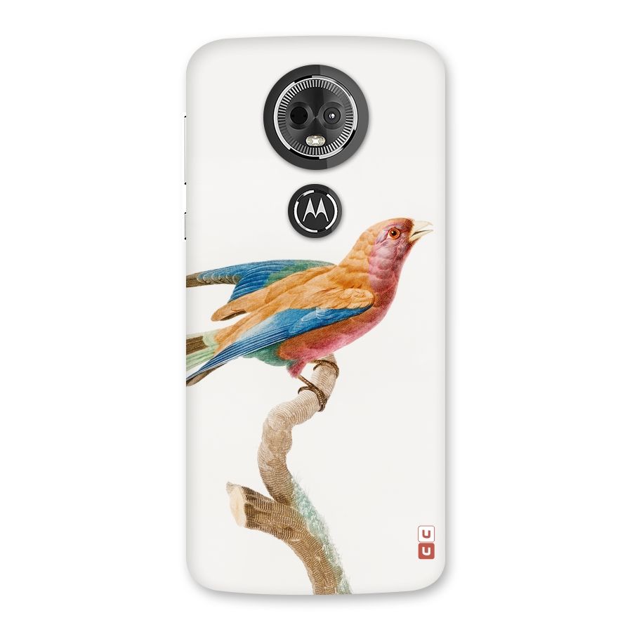 Beautiful Bird Back Case for Moto E5 Plus
