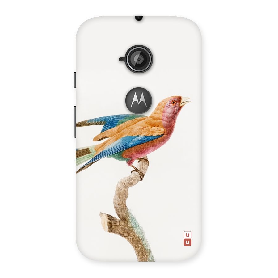 Beautiful Bird Back Case for Moto E 2nd Gen