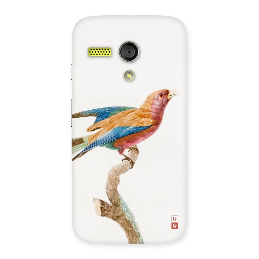 Beautiful Bird Back Case for Moto G