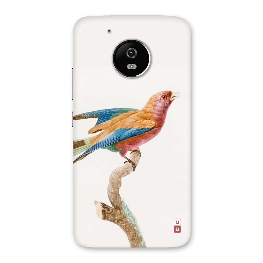 Beautiful Bird Back Case for Moto G5