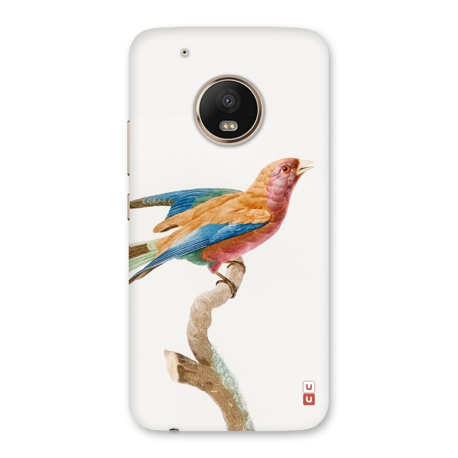 Beautiful Bird Back Case for Moto G5 Plus