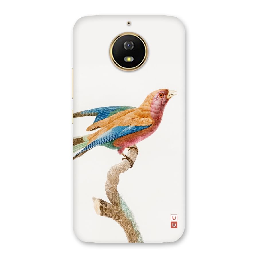 Beautiful Bird Back Case for Moto G5s