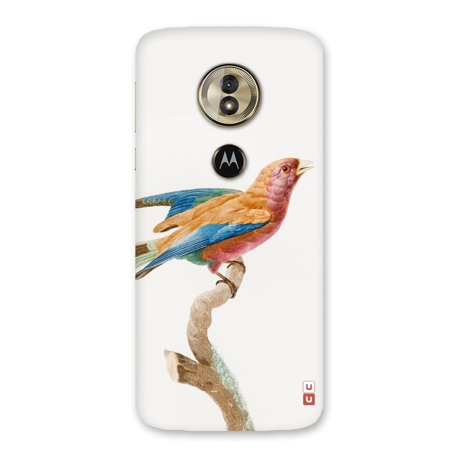 Beautiful Bird Back Case for Moto G6 Play
