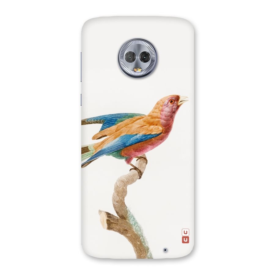 Beautiful Bird Back Case for Moto G6 Plus