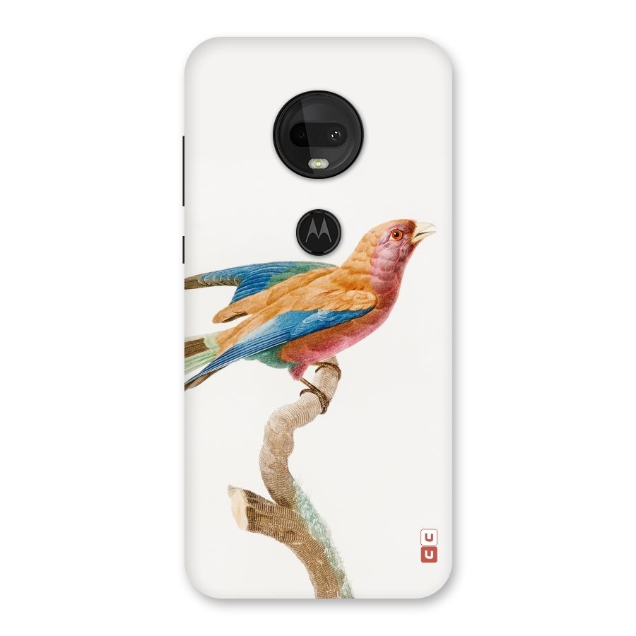 Beautiful Bird Back Case for Moto G7