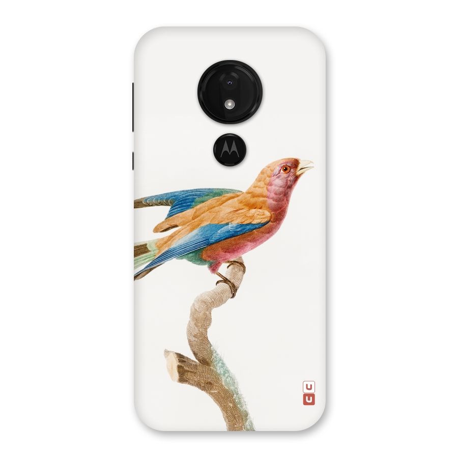 Beautiful Bird Back Case for Moto G7 Power