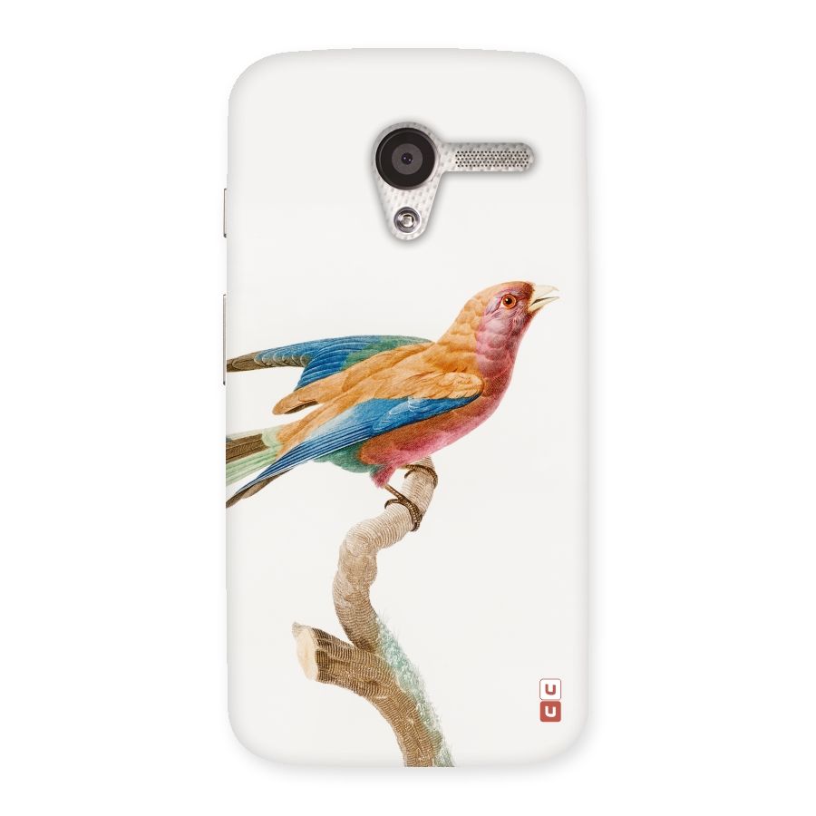 Beautiful Bird Back Case for Moto X