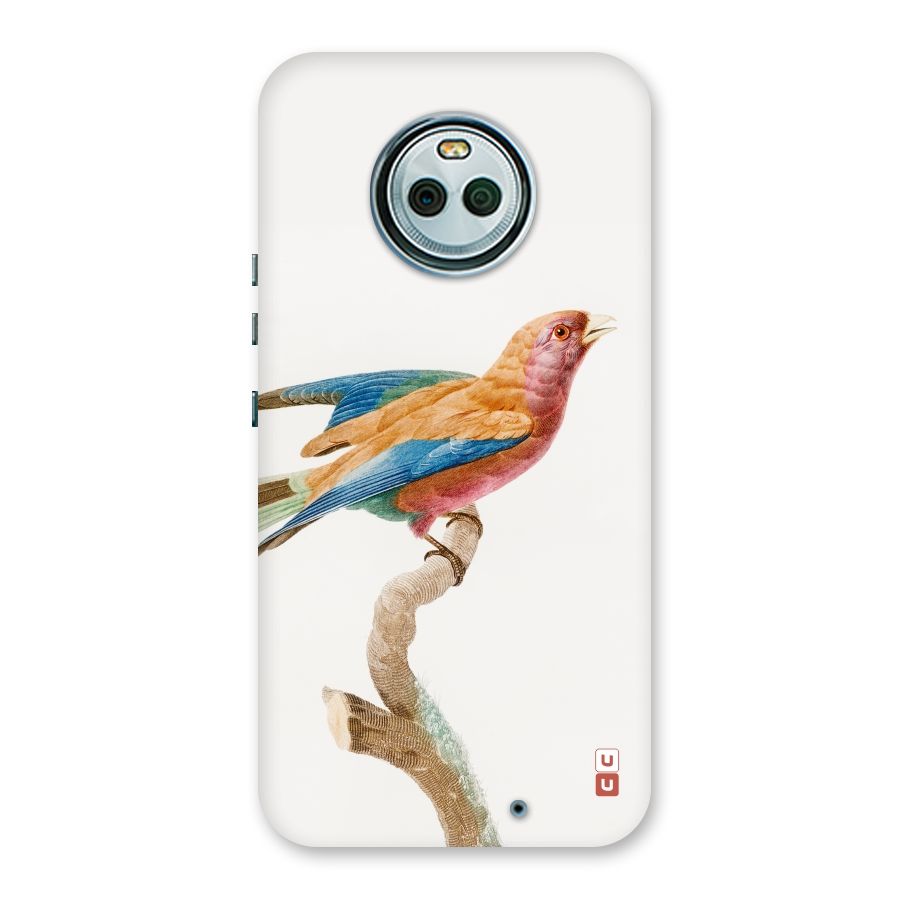 Beautiful Bird Back Case for Moto X4