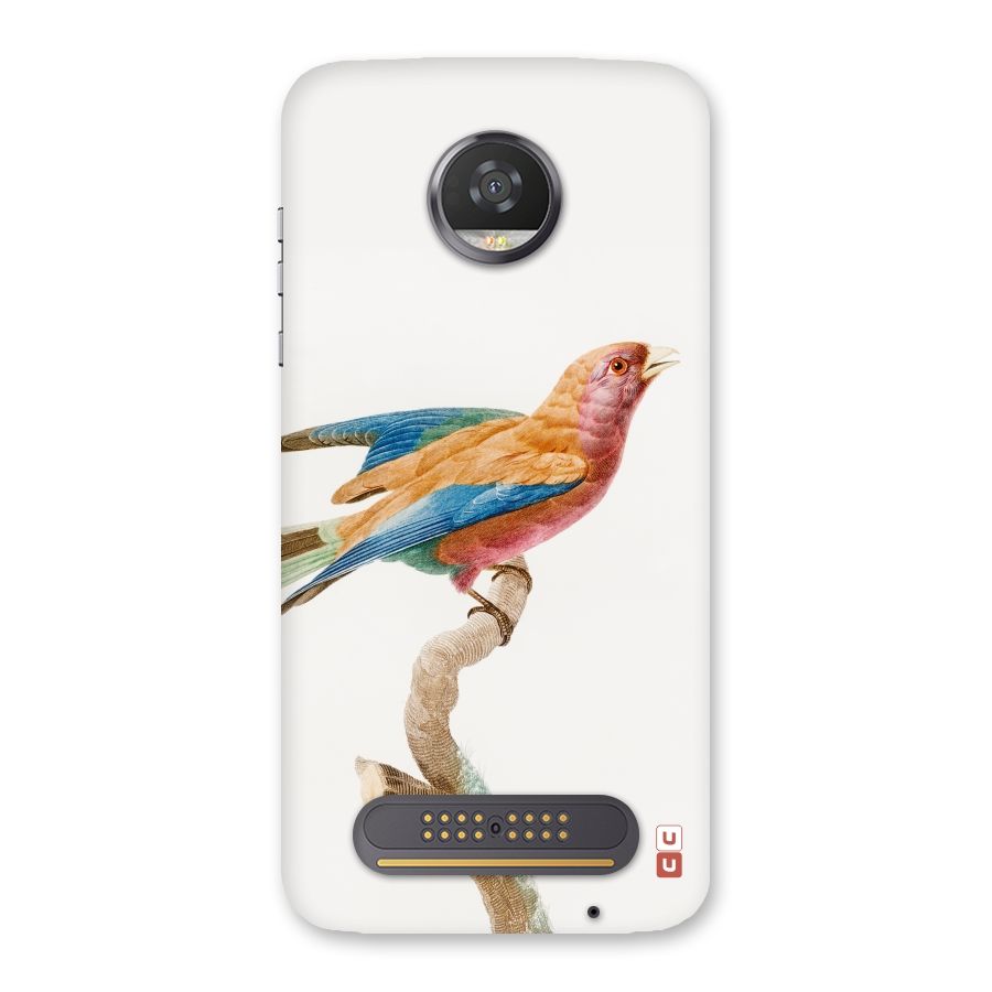 Beautiful Bird Back Case for Moto Z2 Play