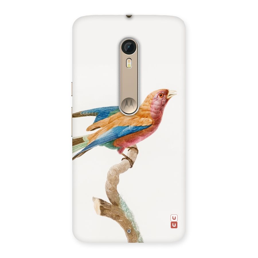 Beautiful Bird Back Case for Motorola Moto X Style