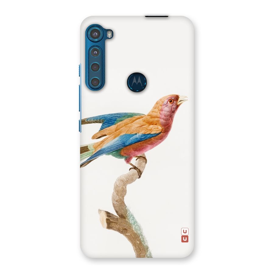Beautiful Bird Back Case for Motorola One Fusion Plus