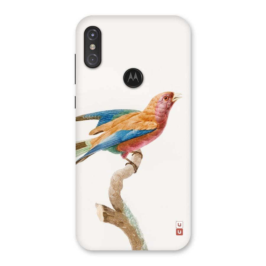 Beautiful Bird Back Case for Motorola One Power