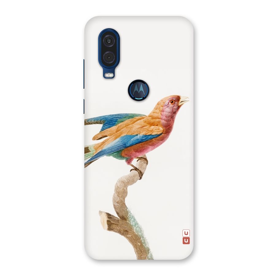 Beautiful Bird Back Case for Motorola One Vision