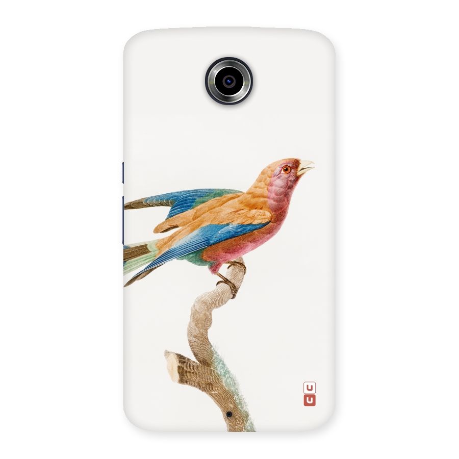 Beautiful Bird Back Case for Nexsus 6