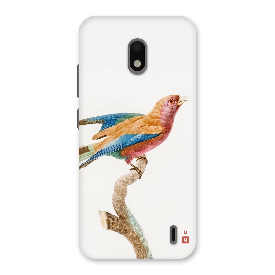 Beautiful Bird Back Case for Nokia 2.2