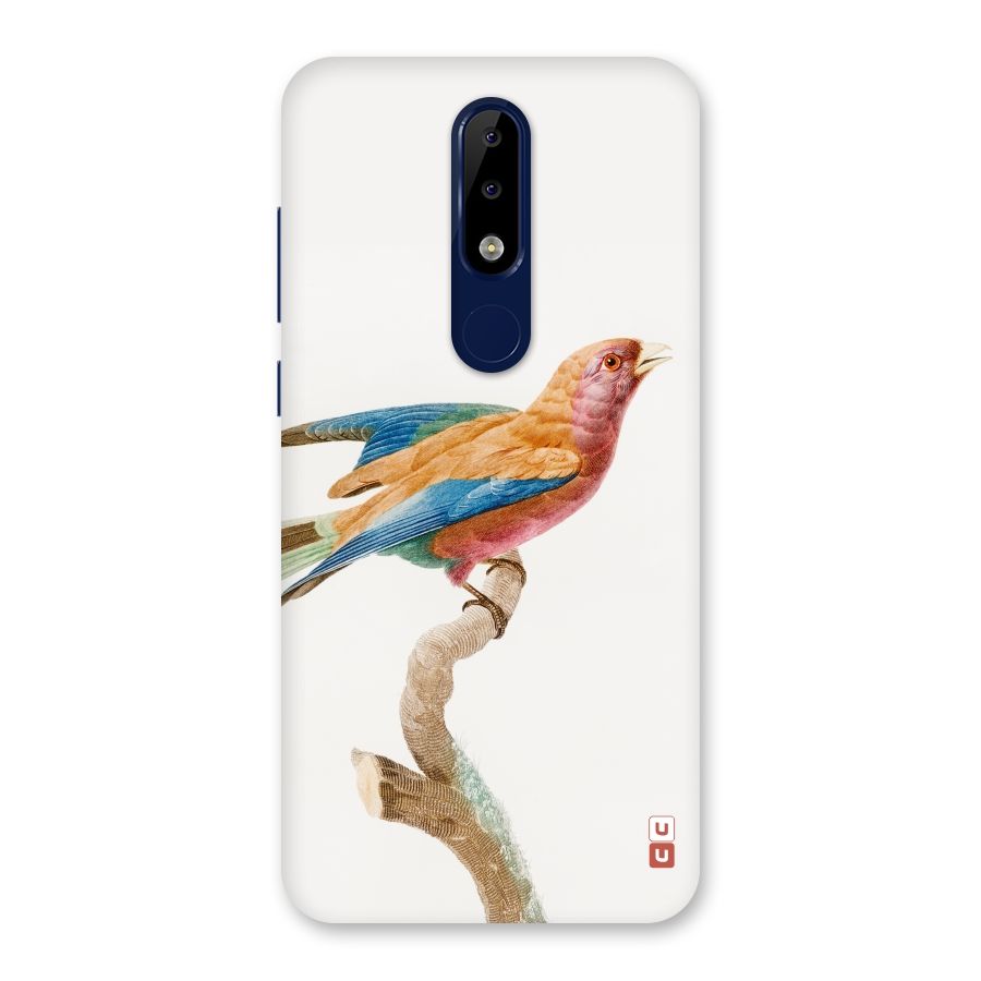 Beautiful Bird Back Case for Nokia 5.1 Plus