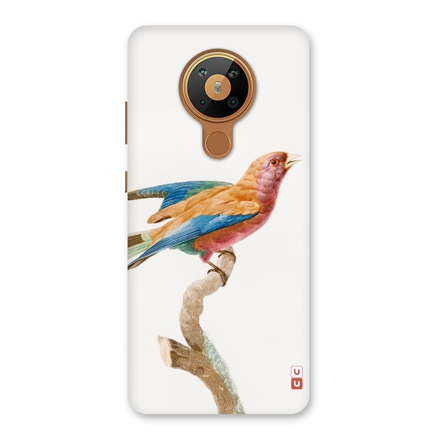 Beautiful Bird Back Case for Nokia 5.3