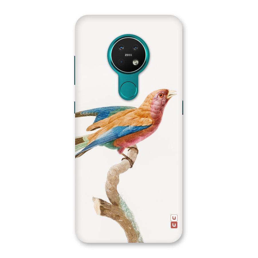 Beautiful Bird Back Case for Nokia 7.2