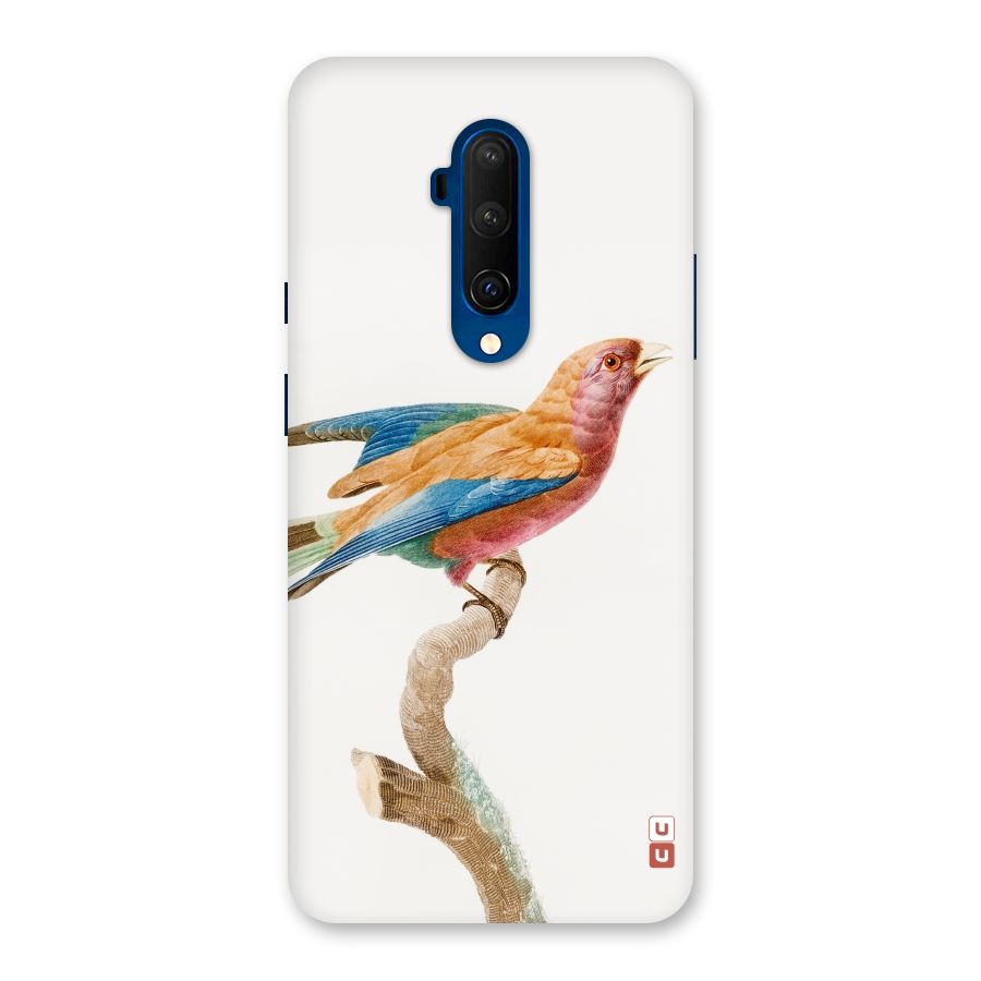 Beautiful Bird Back Case for OnePlus 7T Pro