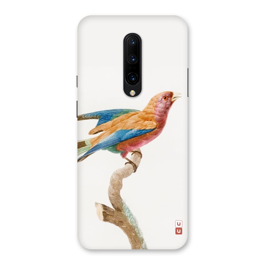 Beautiful Bird Back Case for OnePlus 7 Pro