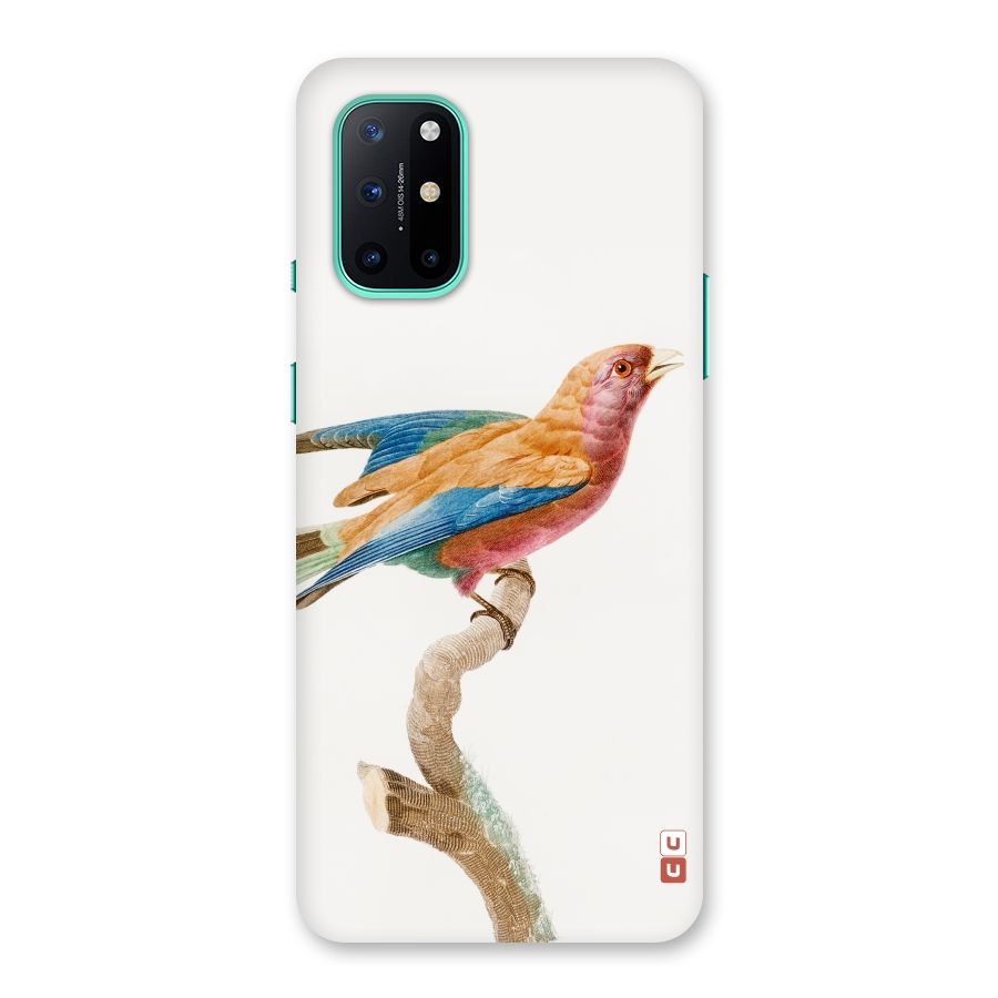 Beautiful Bird Back Case for OnePlus 8T