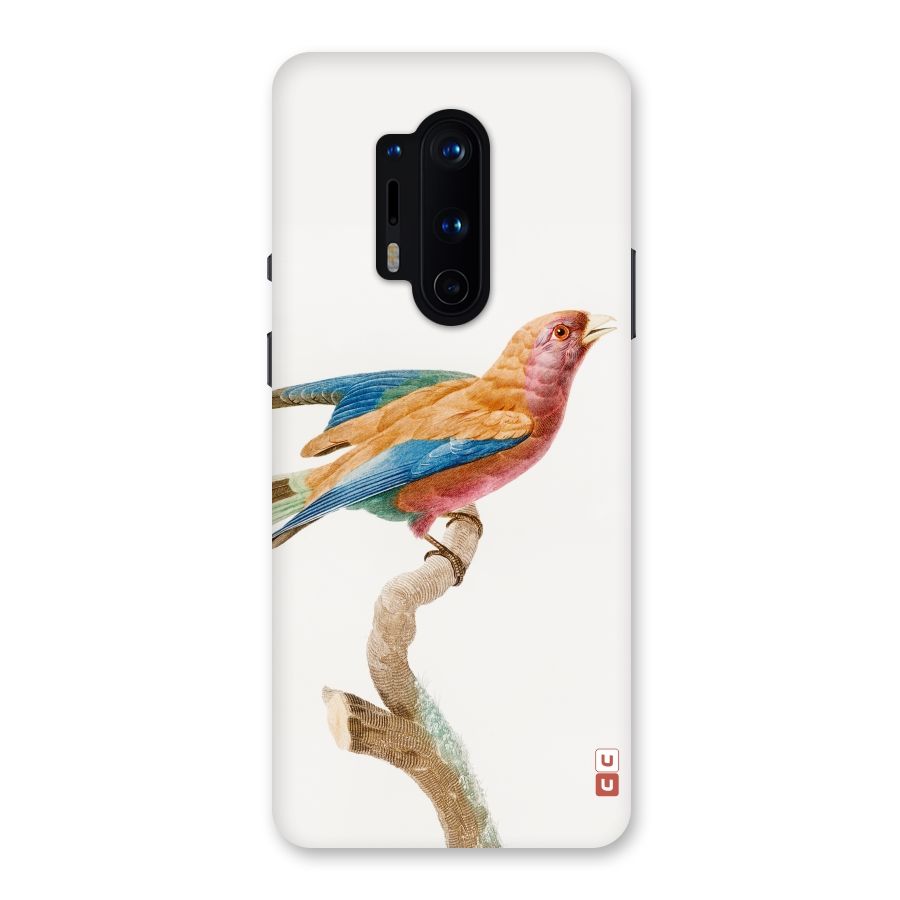 Beautiful Bird Back Case for OnePlus 8 Pro